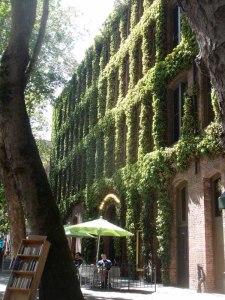 Ivy-covered building - Seattle